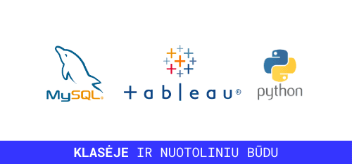 duomenu analitika big data