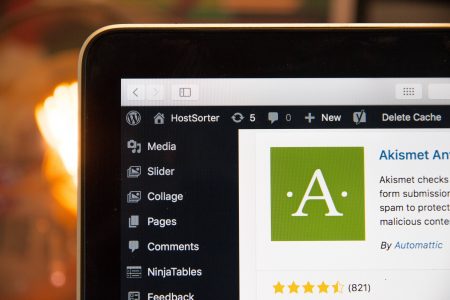 8 priezastys ismokti wordpress