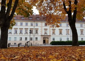 vilnius coding school x vilniaus universitetas tyrimas ipusejo ka zinome siandien