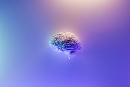 brains cover