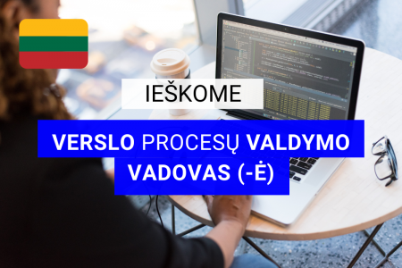 verslo procesu valdymo vadovas