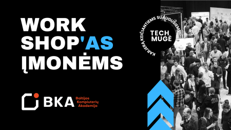 Tm Imonems Dirbtuves Workshopas Imonems